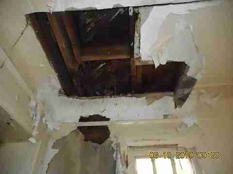 14567 Freeland (14)_m.jpg